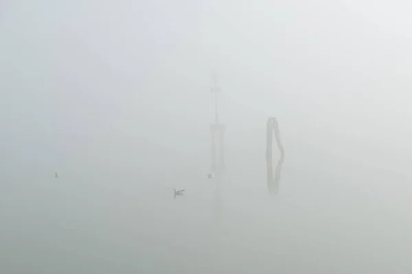 Morze Mewy Mgła Włoska Wyspa Burano Prowincja Wenecja Włochy — Zdjęcie stockowe