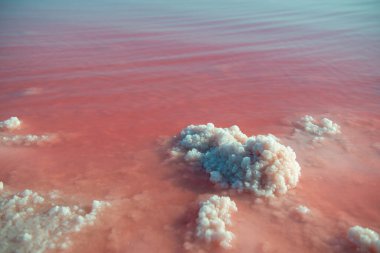  İspanya, Torrevieja 'da kristal tuz birikintileriyle mikro algler tarafından renklendirilmiş aşırı tuzlu pembe göl.