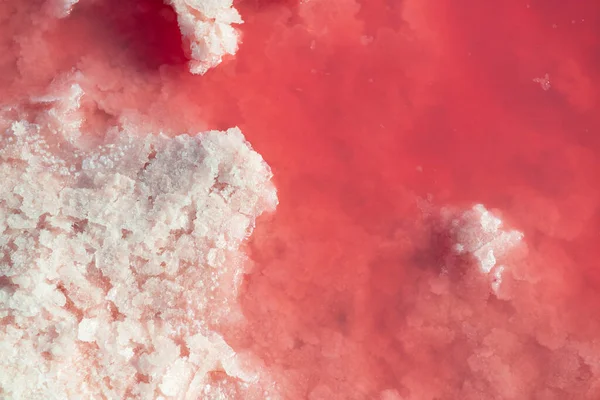 塩の結晶と非常に塩辛いピンクの湖 トルレビエハの結晶塩鉱床を持つ微細藻類によって着色 スペイン — ストック写真