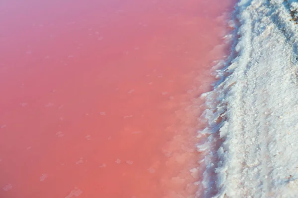 Extremely Salty Pink Lake Crystals Salt Colored Microalgae Crystalline Salt — Stock Photo, Image