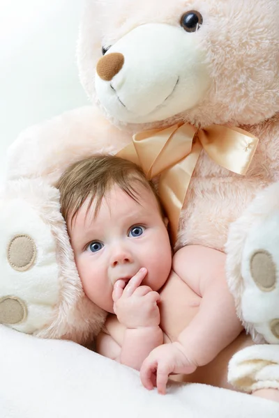 Menino infantil com grande urso de brinquedo — Fotografia de Stock