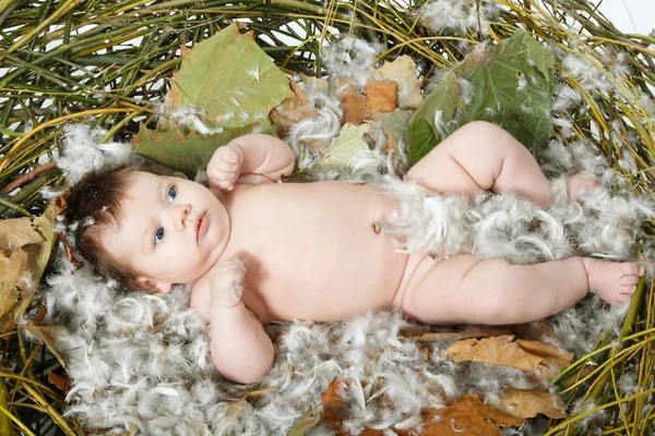 Cute baby — Stock Photo, Image