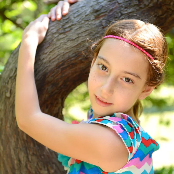 Meisje omhelzing boom — Stockfoto