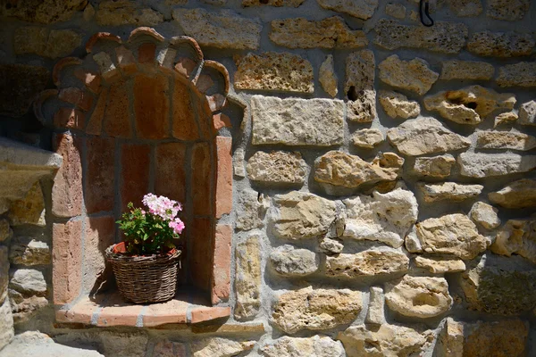 Blooming flowers on wall — Stock Photo, Image