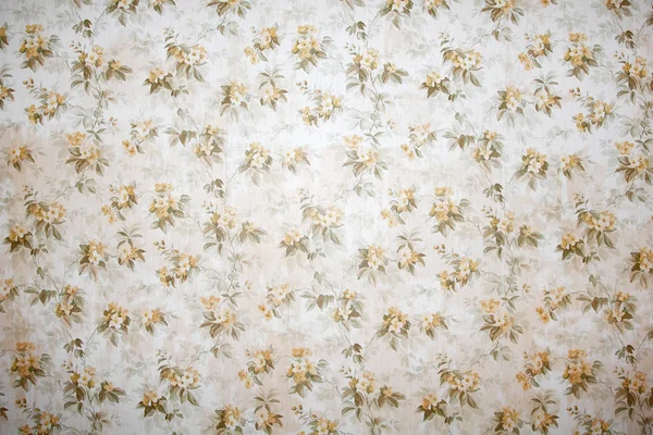 Fondo de pantalla en blanco fotos de stock, imágenes de Fondo de pantalla en blanco sin royalties | Depositphotos Fondo de pantalla en blanco fotos de stock, imágenes de Fondo de pantalla en blanco sin royalties | Depositphotos