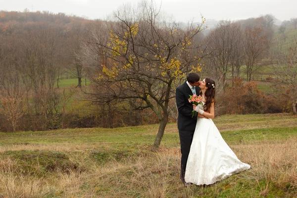 Giovane sposo bacio sposa in autunno natura — Foto Stock