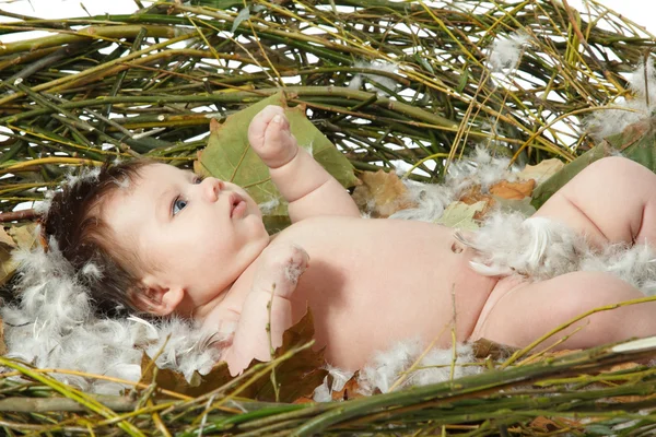 Bebê bonito — Fotografia de Stock