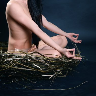 woman meditating in nest clipart
