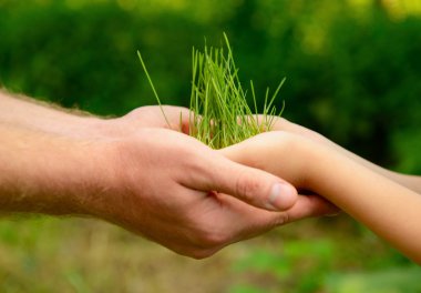 Yeşil büyüyen holding eller çimen