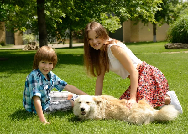 Menina e menino brincando com o cão — Fotografia de Stock