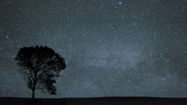 Night sky time lapse — Stock Video