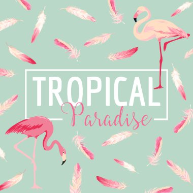 Tropik kuş. Flamingo arka plan. Yaz tasarım. Vektör. T-shirt Moda grafik. Egzotik arka plan.