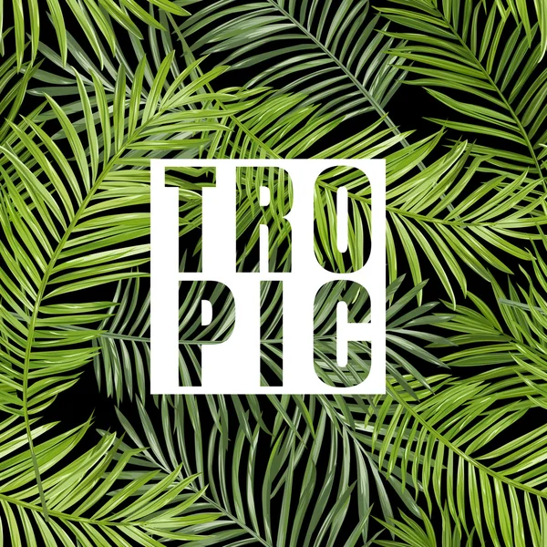 Tropische Palm. Tropische bladeren achtergrond. Vector achtergrond. Exotische grafische achtergrond. Tropische banner. — Stockvector