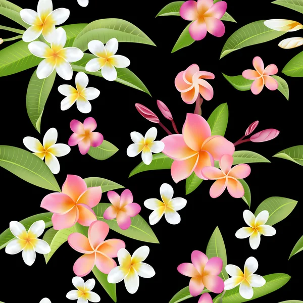 Τροπικά λουλούδια και τα φύλλα μοτίβο. Απρόσκοπτη υπόβαθρο. Εξωτικά Plumeria λουλούδι — Διανυσματικό Αρχείο