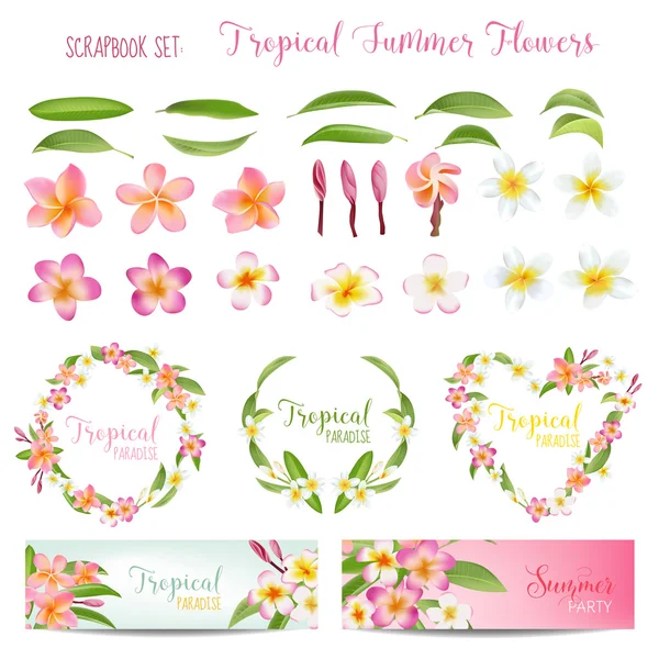 Tropikalnych kwiatów i liści zestaw. Egzotyczny kwiat Plumeria. Kwiatów wieńce i banery — Wektor stockowy