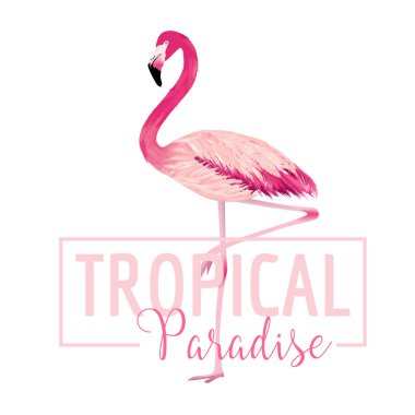 Tropik kuş. Flamingo arka plan. Yaz tasarım. Vektör. T-shirt Moda grafik. Egzotik arka plan.