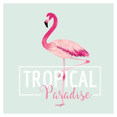 Tropik kuş. Flamingo arka plan. Yaz tasarım. Vektör. T-shirt Moda grafik. Egzotik arka plan.