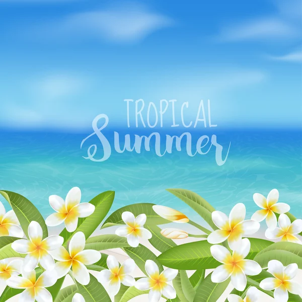 热带的背景。热带花卉鸡蛋花。海视图背景 — 图库矢量图片