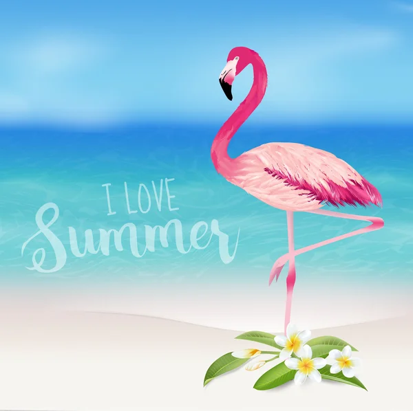 Tropikalny tło. Tropikalny kwiat i Flamingo ptak. Tło plaża — Wektor stockowy