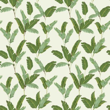 Seamless modeli. Tropikal palmiye yaprakları arka plan. Muz yaprakları. Vektör arka plan. 