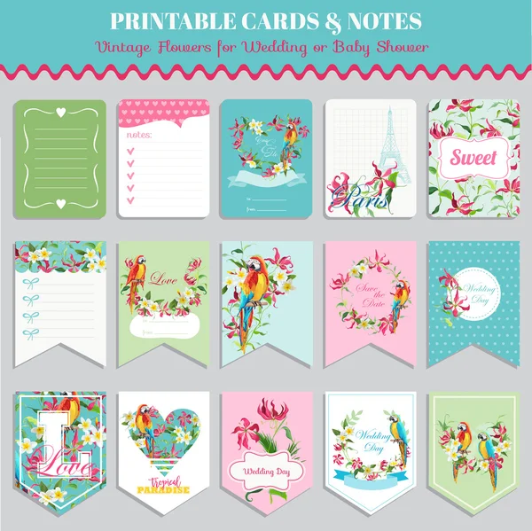 Ensemble de cartes Fleurs tropicales et oiseaux perroquets. Anniversaire, Mariage, Bébé douche Tags. Conception vectorielle. Illustration estivale . — Image vectorielle