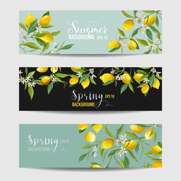 Lemon Citrus Banners florais e conjunto de etiquetas - no vetor — Vetor de Stock