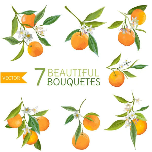 Naranjas Vintage, Flores y Hojas. Bouquetes de naranja. Estilo acuarela. Fondo de fruta vectorial . — Archivo Imágenes Vectoriales