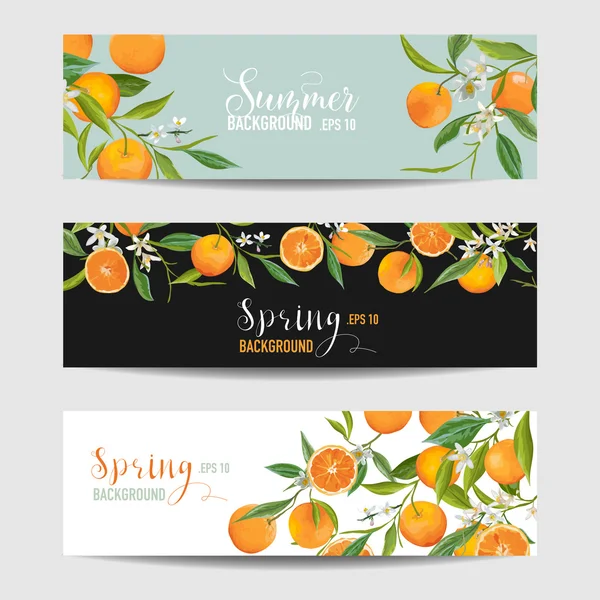 Naranja Citrus Floral Banners y Etiquetas Set - en vector — Vector de stock