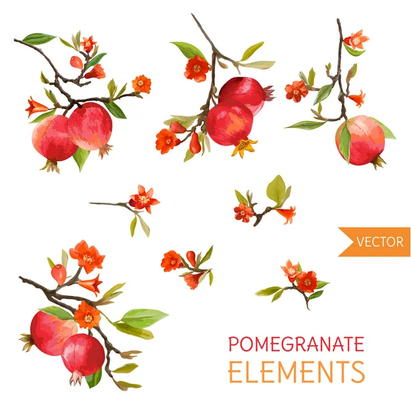 Vintage granaatappels, bloemen en bladeren. Aquarel stijl vruchten. Vector — Stockvector