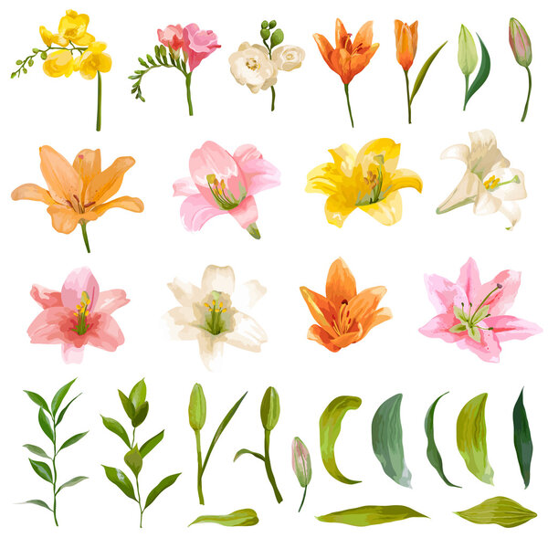 Vintage Lily and Rose Flowers Set - Watercolor Style - in vector
