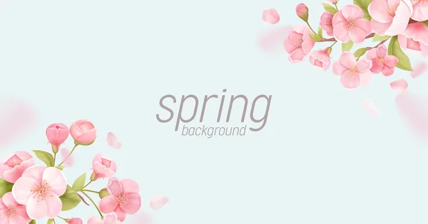 Sakura λουλούδια ρεαλιστική floral banner. Σχεδιασμός ευχετήριων καρτών ανθών κερασιάς. Εικονογράφηση λουλουδιών άνοιξη — Διανυσματικό Αρχείο