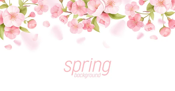 Sakura flores banner floral realista. Projeto do cartão do vetor da flor de cerejeira. Ilustração de flor de primavera —  Vetores de Stock