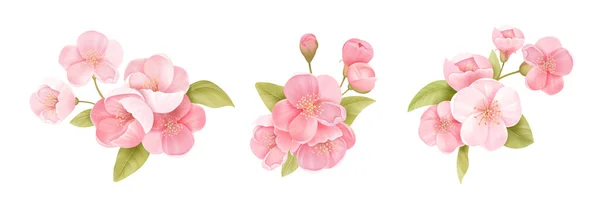 Bouquet di fiori fioriti di ciliegia di primavera sakura. Petali rosa realistici isolati, fiori, rami, foglie — Vettoriale Stock