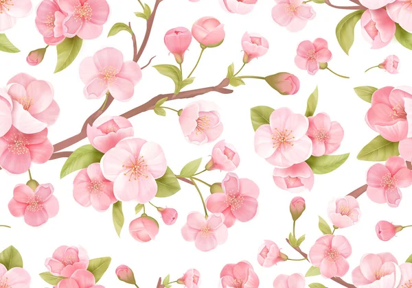 Rosa realista Sakura flor fondo sin costuras. Flor japonesa cereza textura exótica. Flores de primavera — Vector de stock