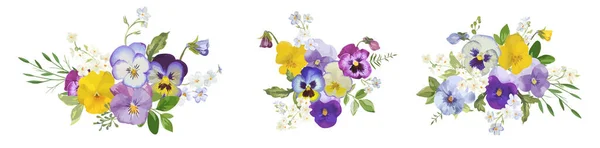 Aquarela pansy flores coleção buquê. Vector viola primavera floral conjunto ilustração. Flor de verão —  Vetores de Stock