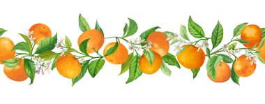 Mandarin Garland Şube Vektör İllüstrasyonu. Vintage Meyveler, Çiçekler ve Yapraklar Yeşillik