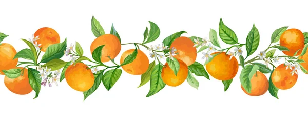 Guirnalda Mandarina Ramas Vector Ilustración. Frutas de la vendimia, flores y hojas verdes — Vector de stock