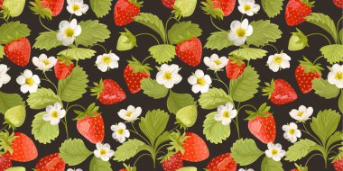 Çilekli arka plan, çiçekler, yabanmersinleri, yapraklar. Yaz kapağı için vektörsüz doku çizimi