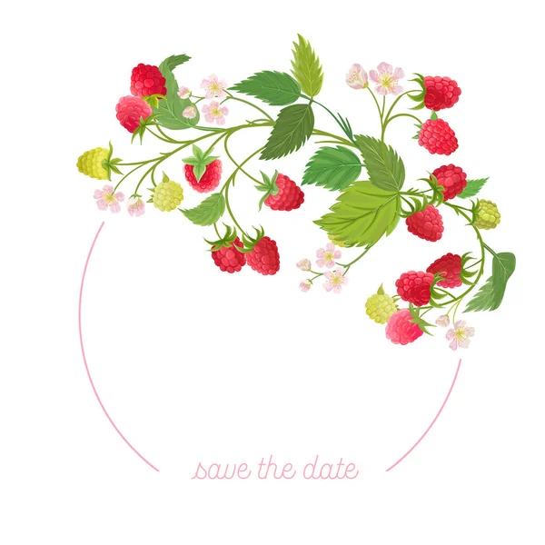 Raspberry floral wreath with watercolor fruit berries, flowers, leaves. Vector summer vintage banner — Stock Vector