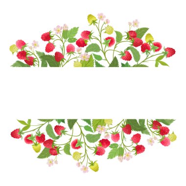 Meyve, çiçek ve yapraklı ahududu çiçeği çelengi. Vektör yaz bağbozumu bayrağı