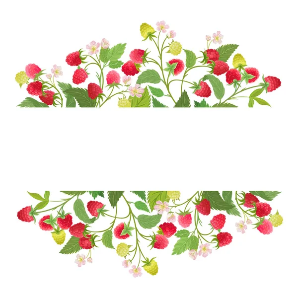 Málna virágkoszorú akvarell gyümölcs bogyók, virágok, levelek. Vektor nyári szüret banner — Stock Vector