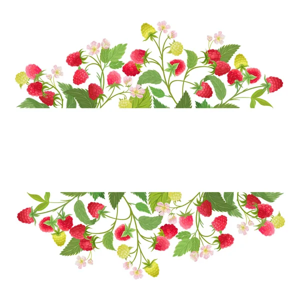 Hallon blommig krans med akvarell frukt bär, blommor, blad. Vektor sommar vintage banner — Stock vektor