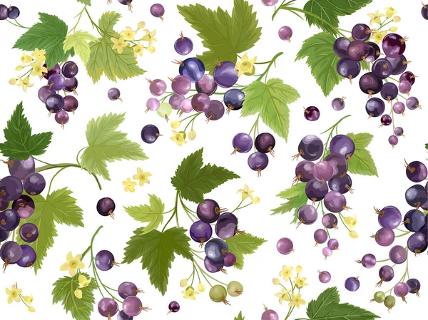 Modello di ribes nero senza cuciture con bacche estive, frutti, foglie, sfondo di fiori — Vettoriale Stock