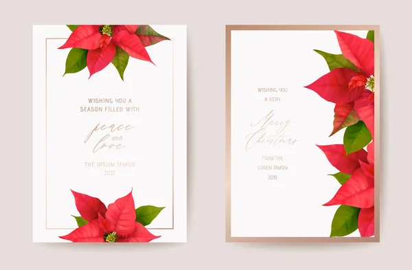 Set von eleganten Frohe Weihnachten und Neujahr Karte mit Weihnachtsstern Realistische Blumen, Blumenkranz — Stockvektor