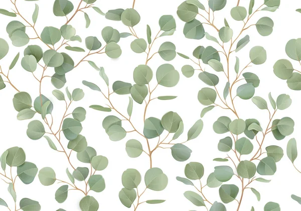 Eucalyptus motif floral aquarelle sans couture. Illustration vectorielle vert tropical branches fond — Image vectorielle