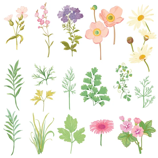 Set of Flowers and Herbs - hand drawn watercolor style — Stock Vector