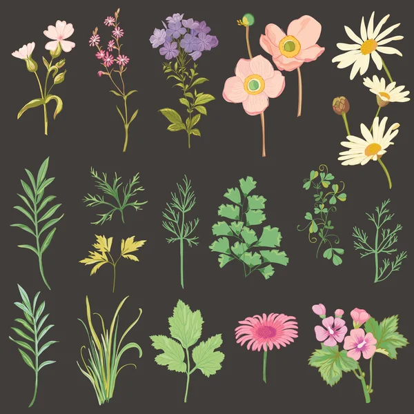 Çiçekler ve otlar - kümesi el çekilmiş suluboya stili — Stok Vektör