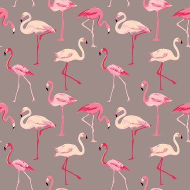 Flamingo kuşu arka plan - Retro Dikişsiz desen vektör