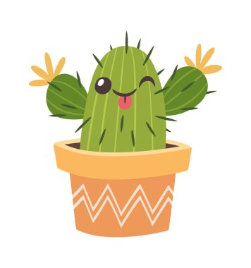 Esrarlı, tatlı karakterli, tuhaf, göz kırpan kaktüs.