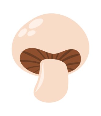 Tatlı tereyağı mantarı mevsimlik mantar tasarım elementi